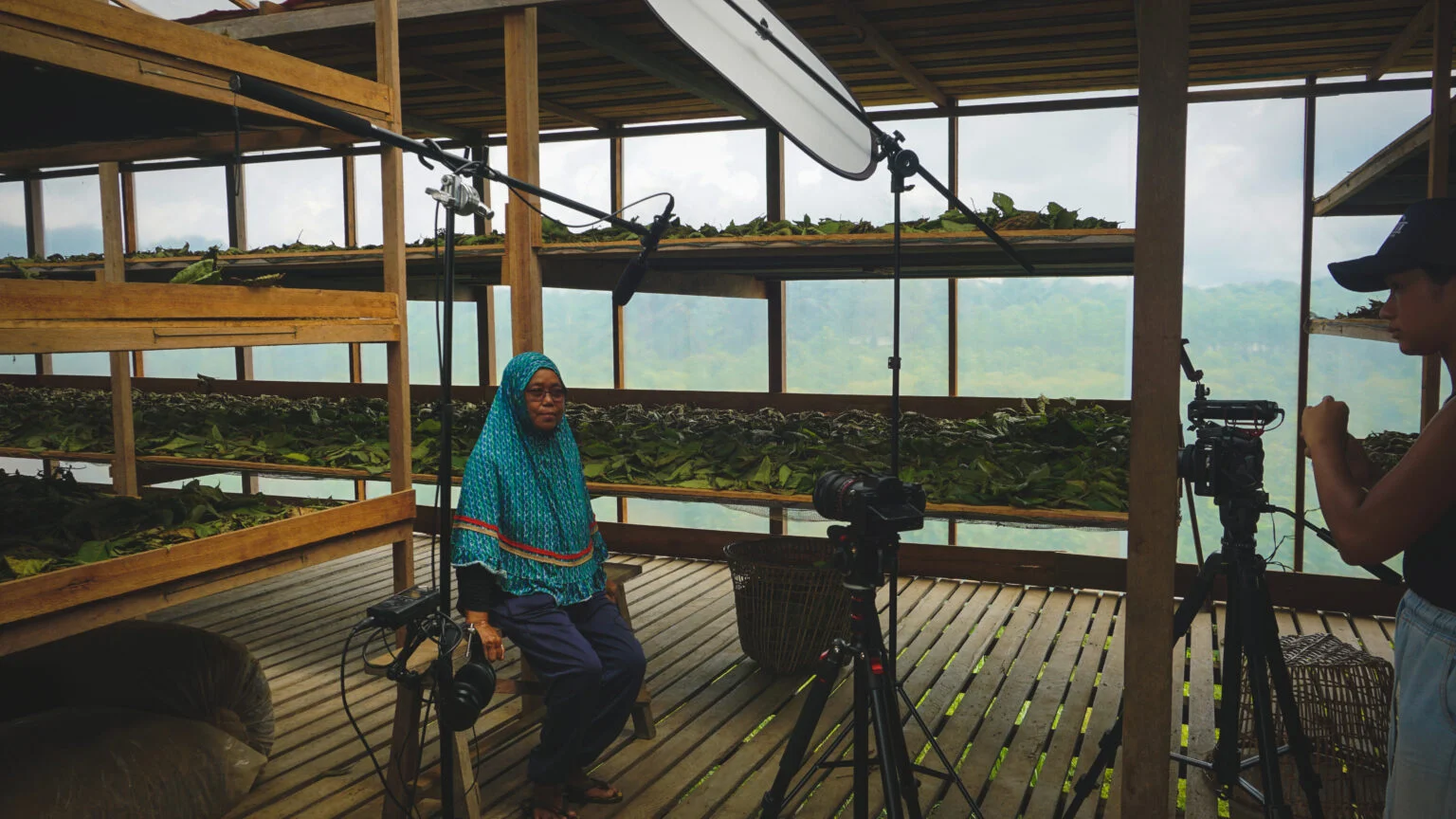 Kratom producer sitting in a kratom leaf drying house